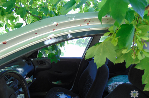 В Очакове мужчина пытался убить своего работодателя, а затем угнать его машину