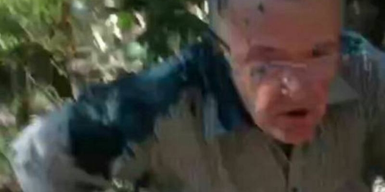 «Кожна колаборантська потвора буде покарана!»: как в Николаеве «поздравили» с праздником организатора первомайской демонстрации