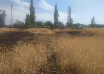 На Николаевщине на корню горело 5 тыс.кв.м пшеницы