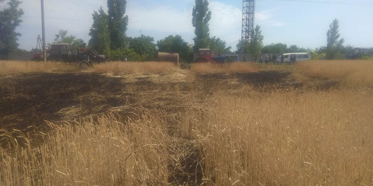 На Николаевщине на корню горело 5 тыс.кв.м пшеницы