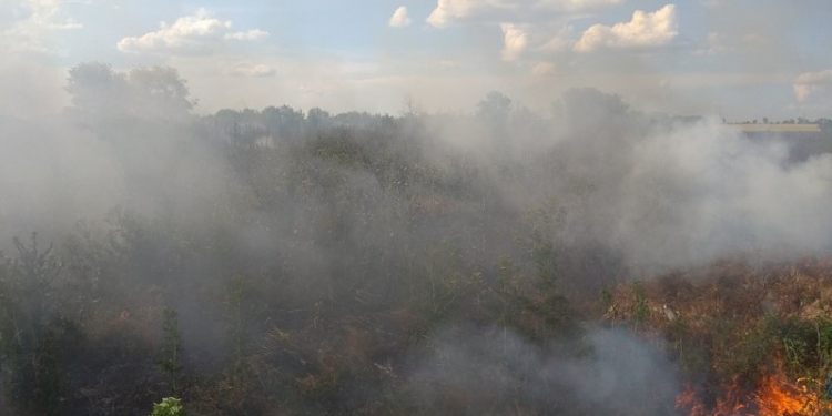 За вчерашний день на Николаевщине спасатели ликвидировали 7 пожаров сухой травы, мусора и кустарников на открытых территориях