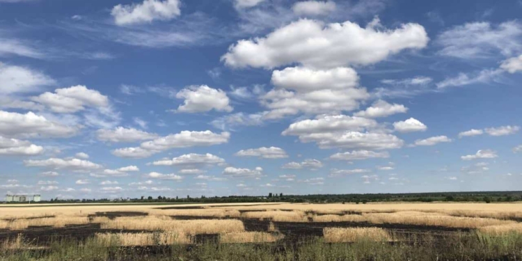 За минувшие сутки на Николаевщине пожарные ликвидировали 12 пожаров на открытых территориях