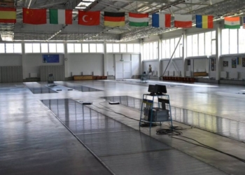 Савченко уверен, что вопрос передачи спортгородка в парке Победы и школы фехтования в собственность города Николаева – уже на финишной прямой