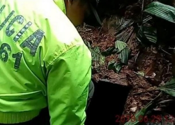 Сотрудники правоохранительных органов Колумбии изъяли более 5 т кокаина у бывших повстанцев из Революционных вооруженных сил страны