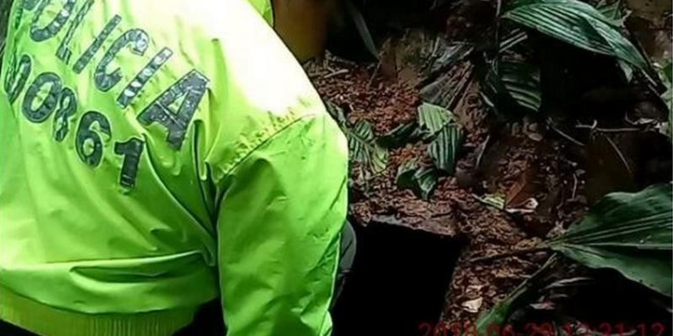 Сотрудники правоохранительных органов Колумбии изъяли более 5 т кокаина у бывших повстанцев из Революционных вооруженных сил страны