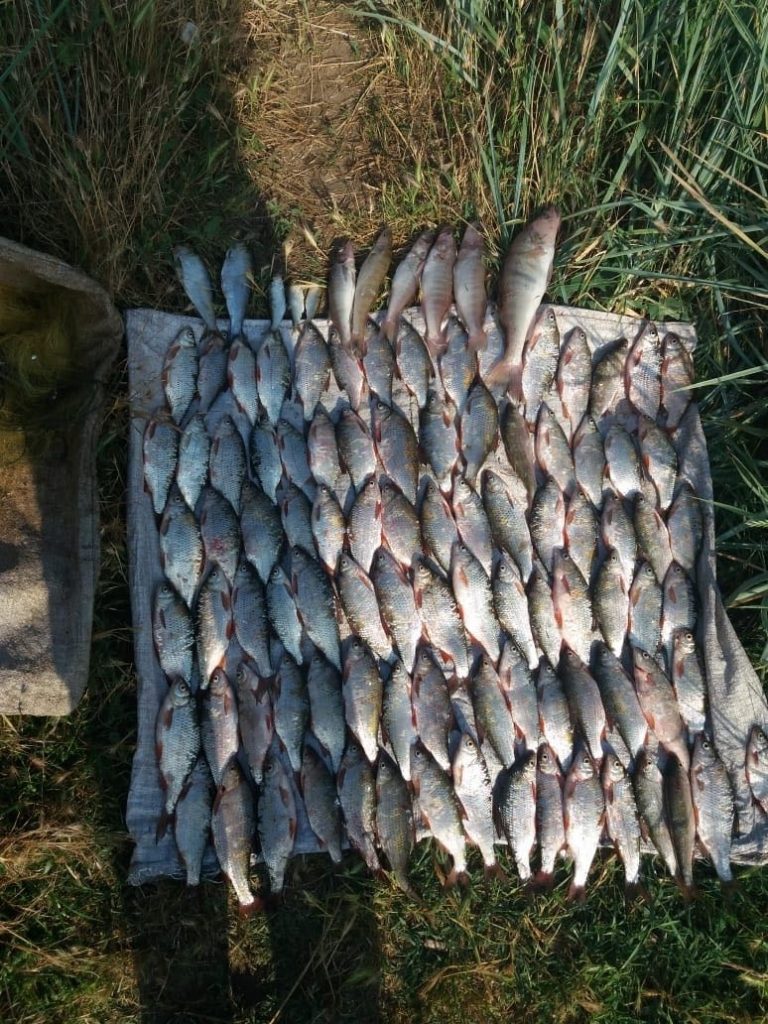 У Большой Коренихи Николаевский рыбоохранный патруль поймал еще одного браконьера 1