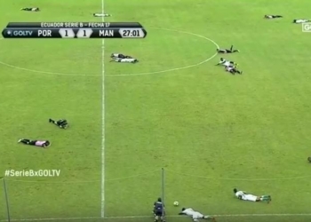 «Всем лежать и не шевелиться!»: снова Эквадор, снова футбольный матч и снова неправильные пчелы