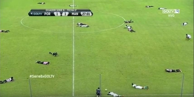 «Всем лежать и не шевелиться!»: снова Эквадор, снова футбольный матч и снова неправильные пчелы