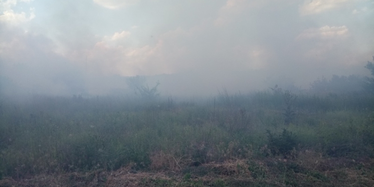 За прошедшие сутки спасатели Николаевщины 10 раз тушили пожары в экосистемах