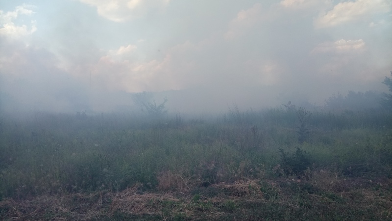 За прошедшие сутки спасатели Николаевщины 10 раз тушили пожары в экосистемах 1