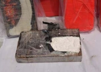 Мясо халяль с кокаином. В Алжире нашли 700 кг наркотиков из Бразилии