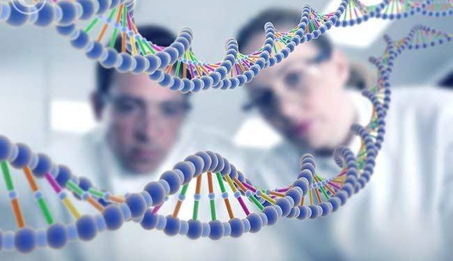 Ученые нашли новый ген, который сделал из обезьяны человека