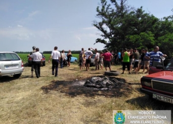 В Еланецком районе местные пасечники поссорились с приезжими