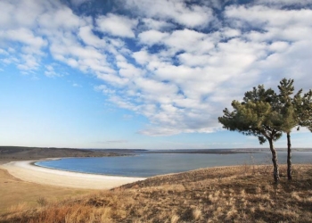 На Тилигульском лимане произошел массовый замор рыбы