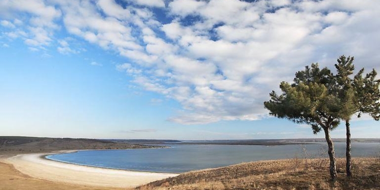 На Тилигульском лимане произошел массовый замор рыбы