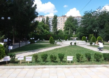 «Украдено» и «Сломано»: активисты Корабельного района Николаева решили наглядно показать, что за два года сделали с дендропарком вандалы