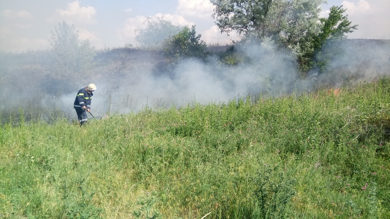 За прошедшие сутки спасатели Николаевщины 10 раз тушили пожары в экосистемах 3