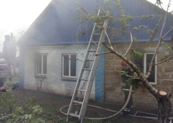 В Новом Буге горел жилой дом, а в Николаеве пожарные спасли мужчину, который мог бы угореть