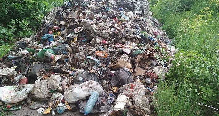 Далеко вез: водитель грузовика из Львова привез и высыпал 12 тонн мусора в Черниговской области