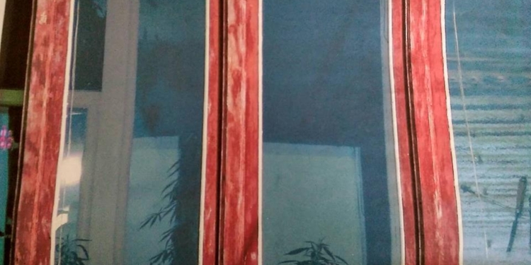 Житель Южноукраинска выращивал коноплю на балконе многоэтажки – весь «урожай» забрали правоохранители