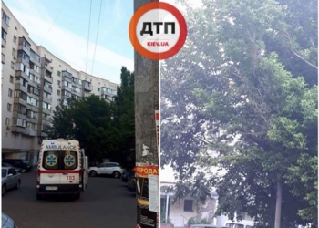 В Киеве вороны пробили женщине голову