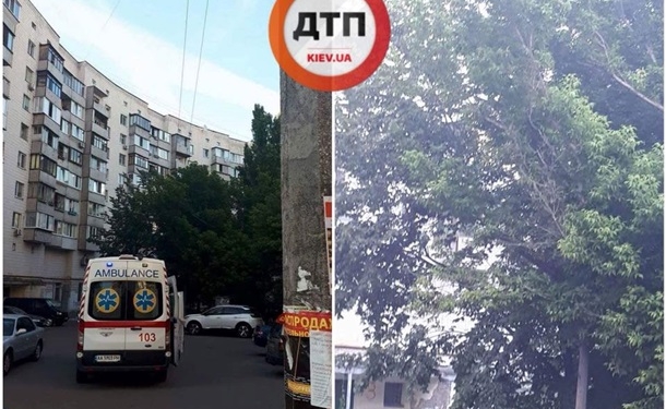 В Киеве вороны пробили женщине голову