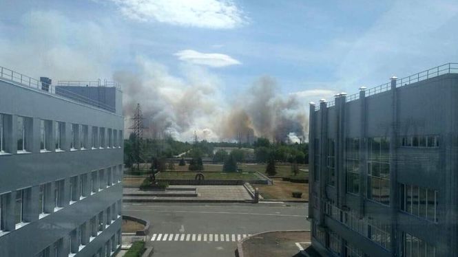 В Чернобыльской зоне горит лес - уже 10 га 3