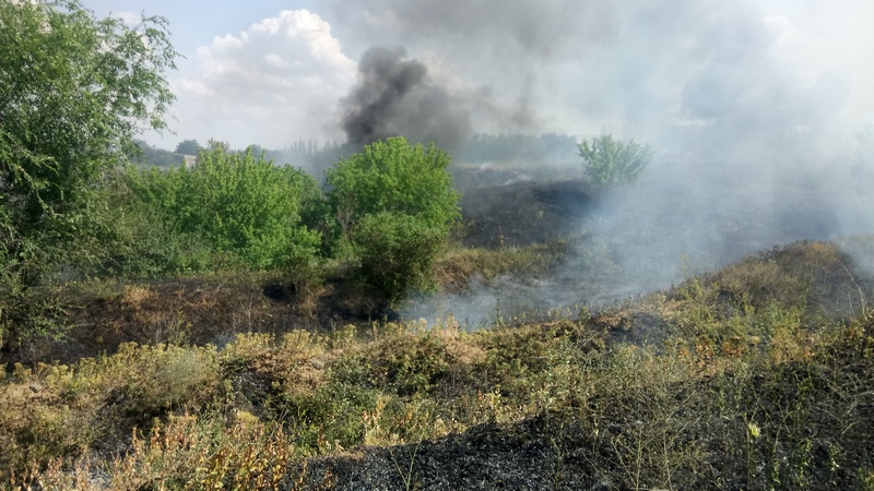 За прошедшие сутки спасатели Николаевщины 10 раз тушили пожары в экосистемах 5