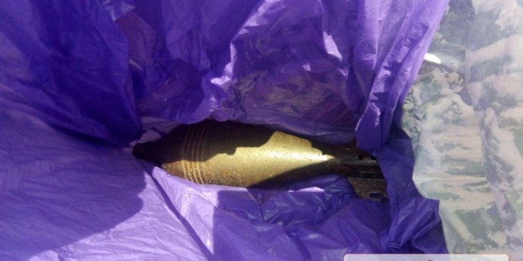 В Николаеве военный вез в маршрутке на продажу боевую мину со взрывателем