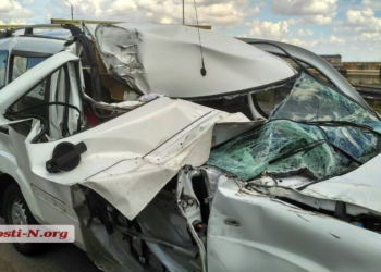 Под Николаевом водитель «Фиата» уснул и въехал в грузовик. Пострадали трое детей