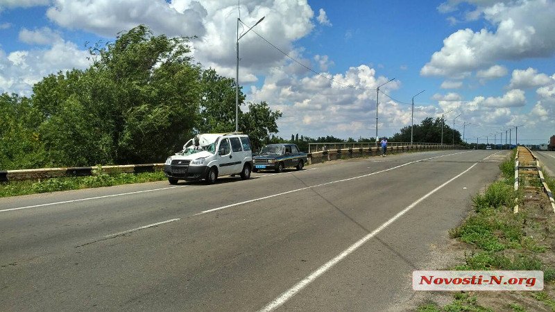 Под Николаевом водитель «Фиата» уснул и въехал в грузовик. Пострадали трое детей 8