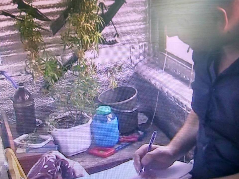Житель Южноукраинска выращивал коноплю на балконе многоэтажки – весь «урожай» забрали правоохранители 7