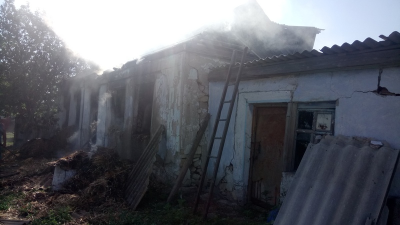 Николаевские спасатели за сутки четыре раза тушили пожары во дворах частных домов и на дачах 7