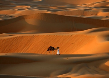 Самый большой оазис в мире внесли в список объектов всемирного наследия ЮНЕСКО