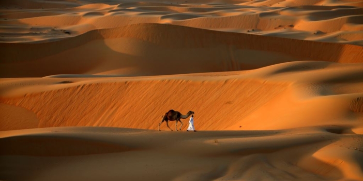Самый большой оазис в мире внесли в список объектов всемирного наследия ЮНЕСКО