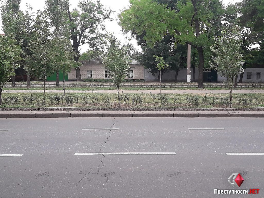 В Николаеве вдоль проспекта Центрального металлическое ограждение меняют на «живую» изгородь 3