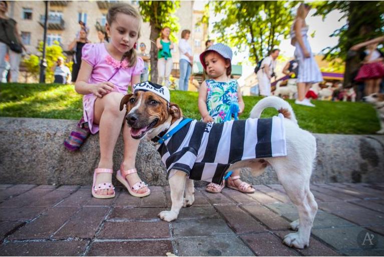 В Киеве провели второй ежегодный парад собак "Джек Рассел" 14