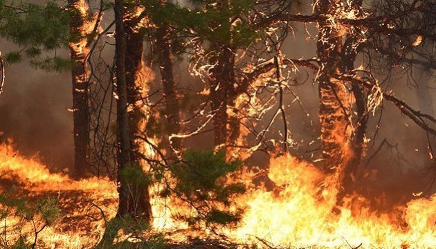 На Херсонщине с помощью николаевских спасателей ликвидировали лесной пожар, вспыхнувший еще в понедельник 1