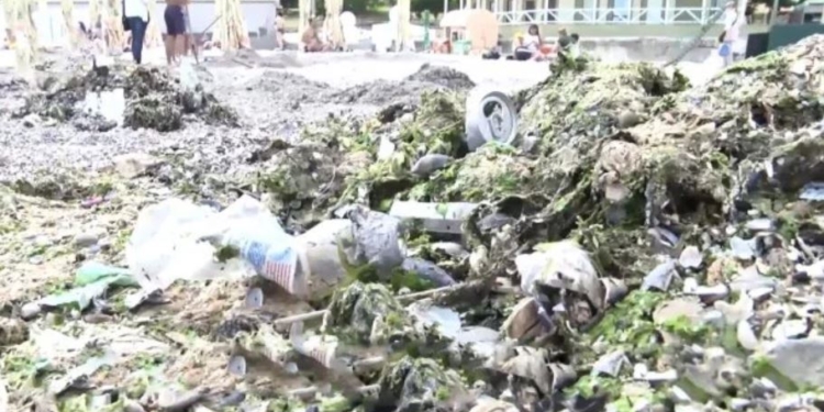 Это катастрофа. Черное море – одно из самых грязных мест планеты