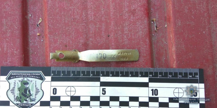 В Березнеговатом во двор частного дома забросили неизвестное взрывное устройство – от взрыва чудом никто не пострадал