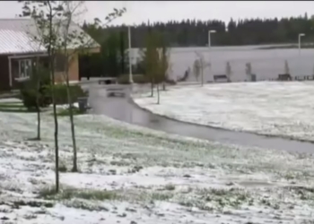 Такое лето. На юге Канады выпал снег