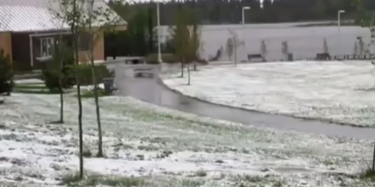 Такое лето. На юге Канады выпал снег