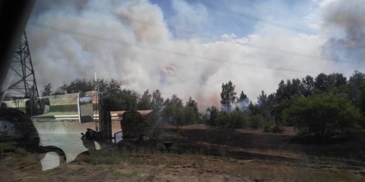 В Чернобыльской зоне горит лес – уже 10 га