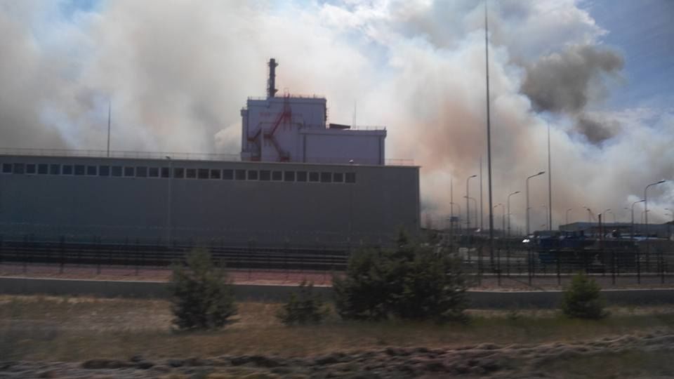 В Чернобыльской зоне горит лес - уже 10 га 1