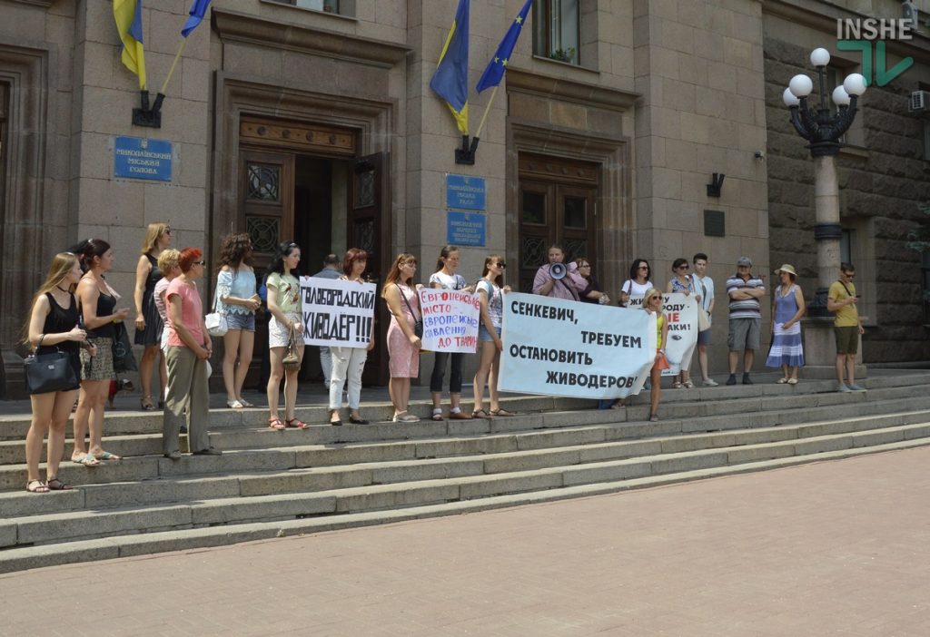 «Голобродский - живодер!»: в Николаеве зоозащитники снова потребовали уволить директора КП «Центр защиты животных» 4