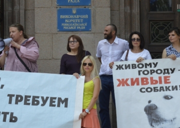 «Голобродский – живодер!»: в Николаеве зоозащитники снова потребовали уволить директора КП «Центр защиты животных»