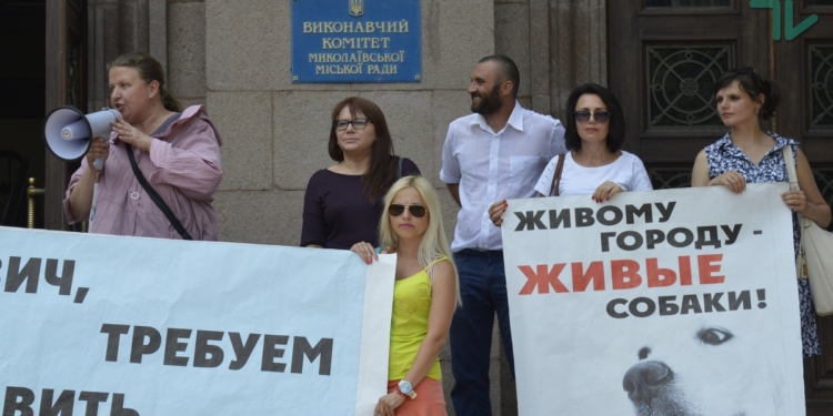«Голобродский – живодер!»: в Николаеве зоозащитники снова потребовали уволить директора КП «Центр защиты животных»