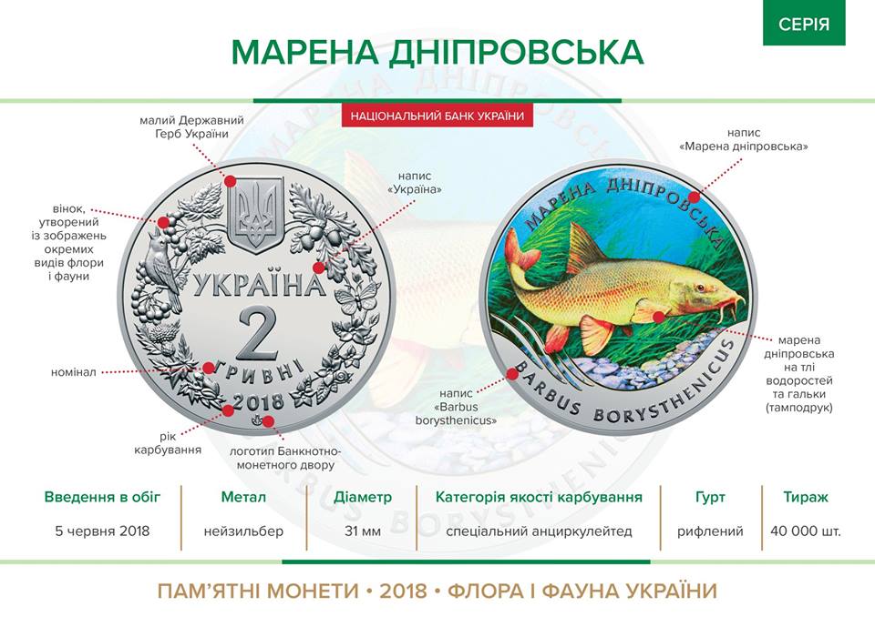 Днепровскую рыбу увековечили - НБУ ввел в оборот новую цветную монету 3