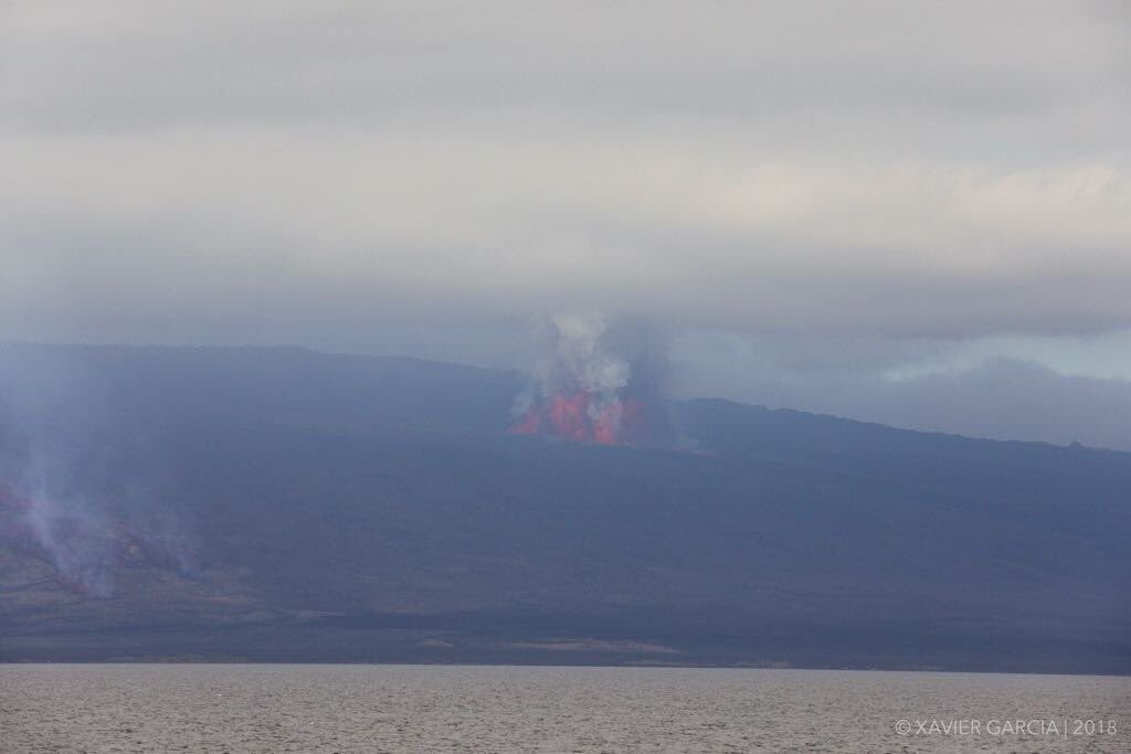 На Галапагосских островах проснулся вулкан Сьерра-Негра 7