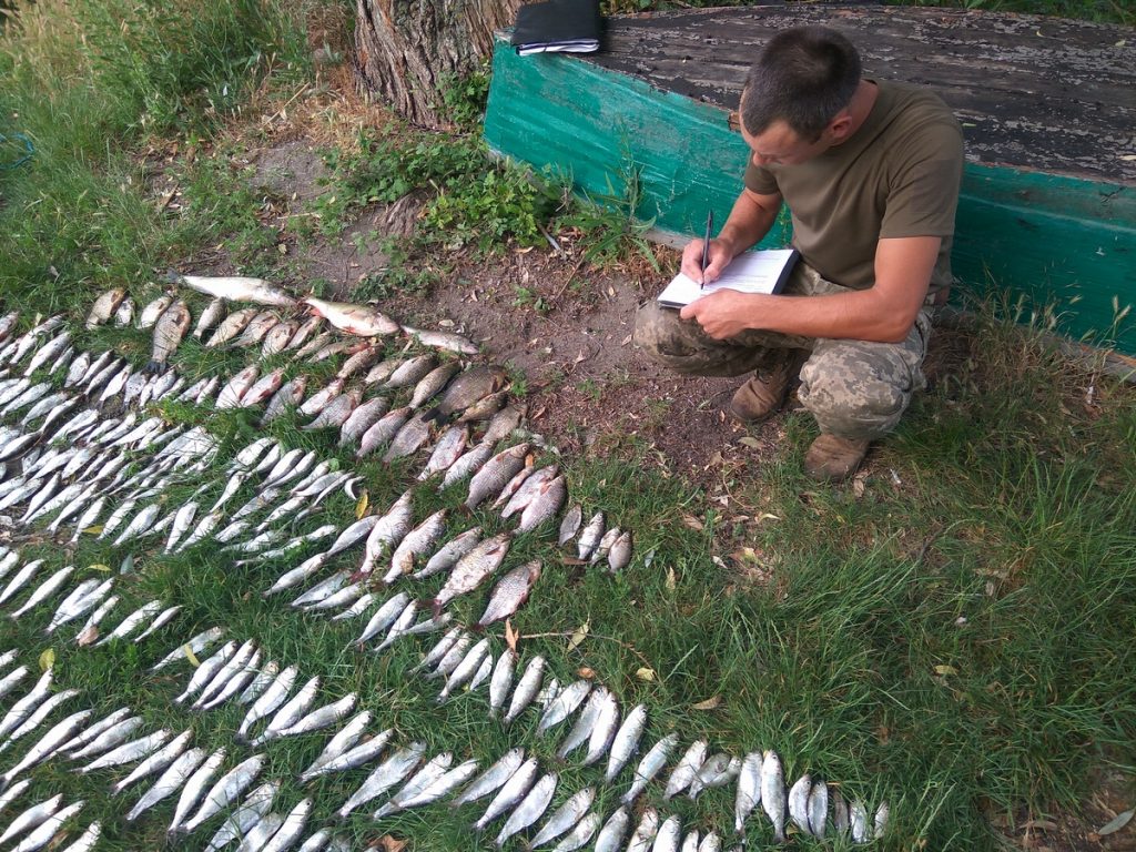 Николаевский рыбоохранный патруль задержал браконьеров с сетями и электроудкой 13